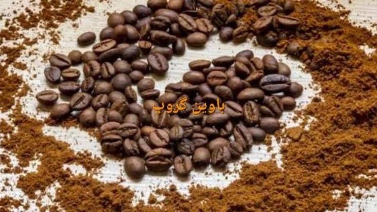 باوین گروپ باوین گروپ